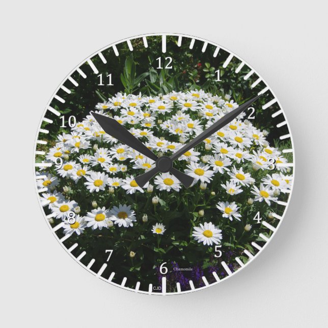 Redondo Mediano Reloj de Chamomile (Anverso)
