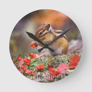 Redondo Mediano Reloj de escaño de Chipmunk