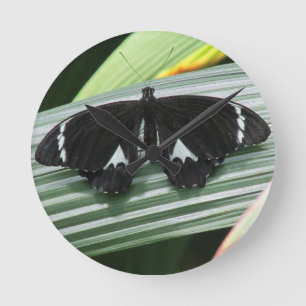 Redondo Mediano Reloj de mariposa tropical negro y blanco