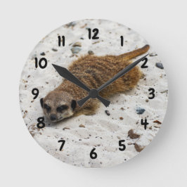 Redondo Mediano Reloj de Meerkat para Chillin