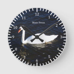 Redondo Mediano Reloj de mute Swan