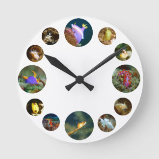Redondo Mediano Reloj de Nudibranch