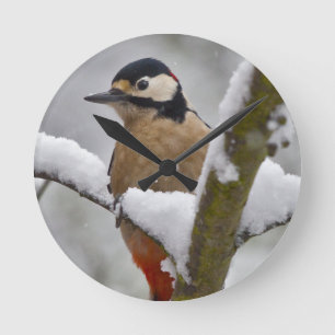 Redondo Mediano Reloj de pájaros carpinteros de invierno