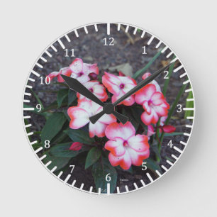 Redondo Mediano Reloj de paneles rosados