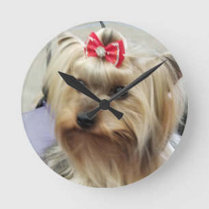 Redondo Mediano Reloj de Yorkshire Terrier