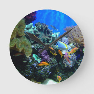 Redondo Mediano Reloj del acuario de los pescados