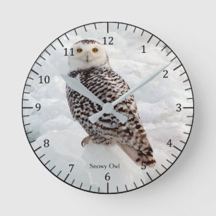 Redondo Mediano Reloj del búho Nevado