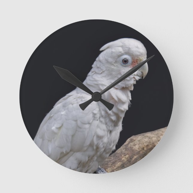 Redondo Mediano Reloj del Cockatoo de Goffin (Anverso)