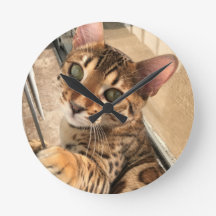 Reloj del gato bengalí