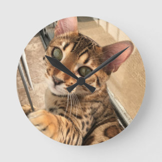 Redondo Mediano Reloj del gato bengalí