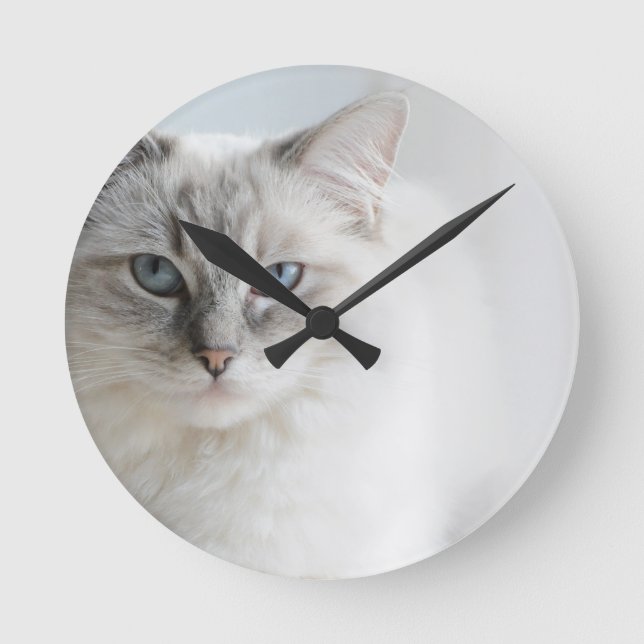 Redondo Mediano reloj del gato del ragdoll (Anverso)