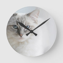 Redondo Mediano reloj del gato del ragdoll