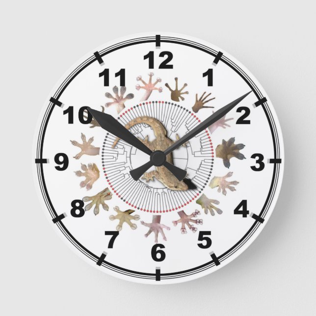 Redondo Mediano Reloj del Gecko (Anverso)