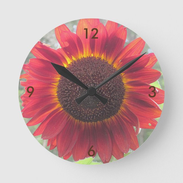 Redondo Mediano Reloj del Muro del Girasol (Anverso)