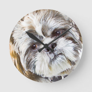 Redondo Mediano Reloj del muro del perro Shih Tzu