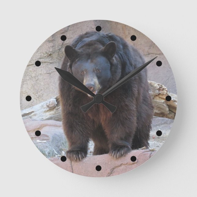 Redondo Mediano Reloj del oso negro (Anverso)