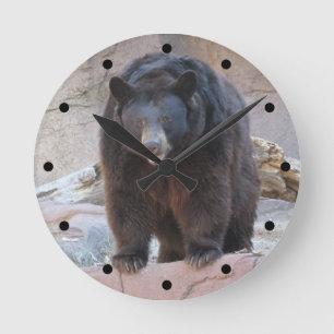 Redondo Mediano Reloj del oso negro