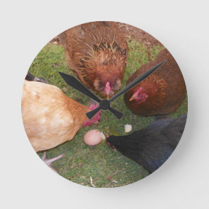 Redondo Mediano Reloj del pollo