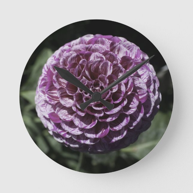 Redondo Mediano Reloj morado de Dahlia (Anverso)