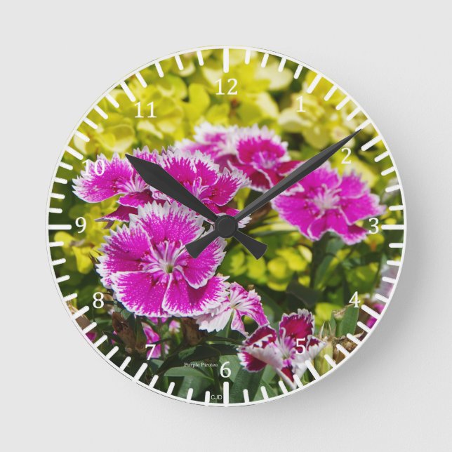 Redondo Mediano Reloj morado de Picoteo (Anverso)