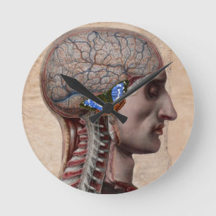Redondo Mediano Reloj principal de la anatomía