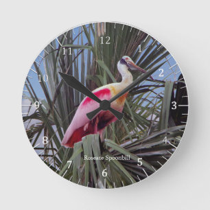 Redondo Mediano Reloj Roseate Spoonbill