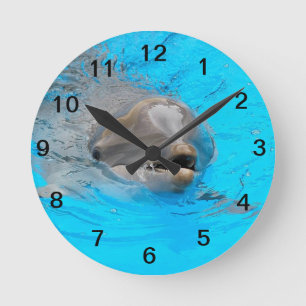 Redondo Mediano Reloj sonriente del delfín
