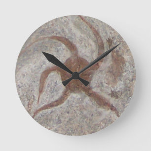 Redondo Mediano Reloj Starfish Fossil Wall