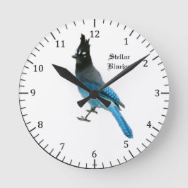 Redondo Mediano Reloj Stellar Blue Jay