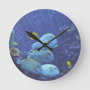 Redondo Mediano Reloj tropical de los pescados