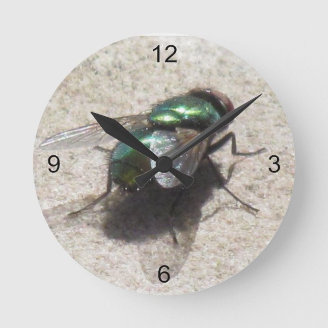 Redondo Mediano Reloj - Vuelos horarios (Anverso)