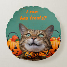 puedo tener tratamientos para el Cojín decorativo 