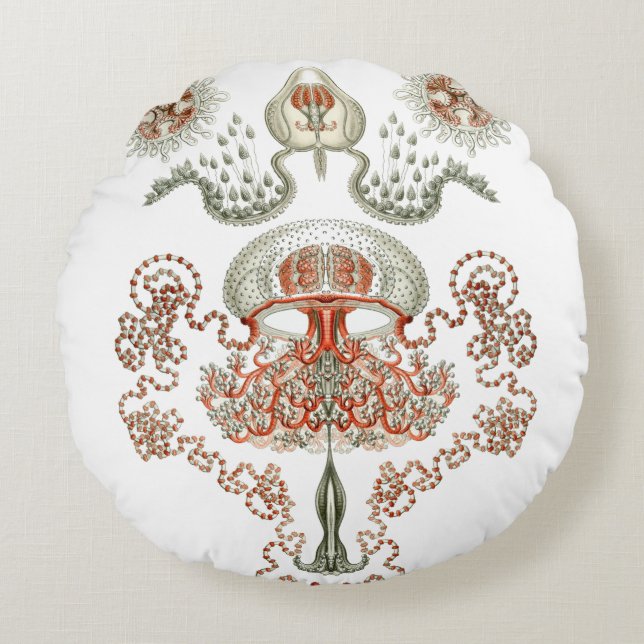 Redondo Vida acuática ~ Haeckel ~ Cojín de medusas (Anverso)