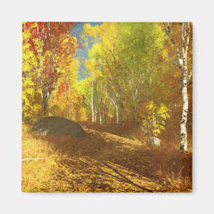 Reduciendo el imán ligero