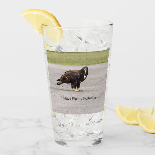 Reducir la contaminación plástica (Anverso (hielo))