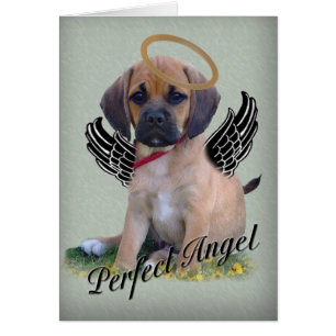 Reducir la tarjeta de ángel perfecta en verde
