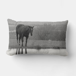 Reflectionz silenciosa ~ Almohada de caballo
