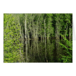 Reflejo de árboles en la tarjeta en blanco de la f