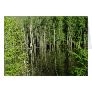 Reflejo de árboles en la tarjeta en blanco de la f