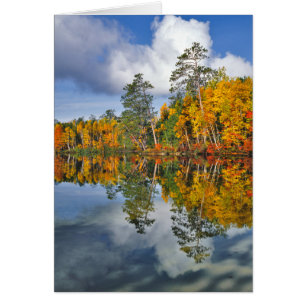 Reflejos de estanque en otoño, Maine