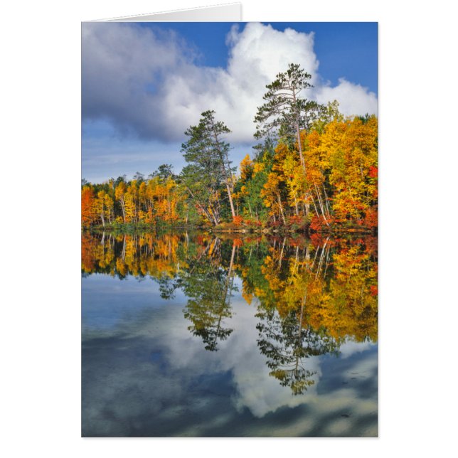 Reflejos de estanque en otoño, Maine (Frente)