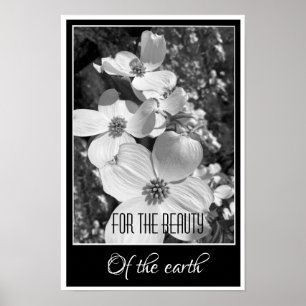 Reflejos en Blanco y Negro para el Póster de la Be