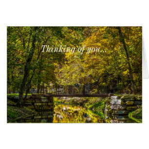 Reflejos Principiante Pensando En Ti Pintura