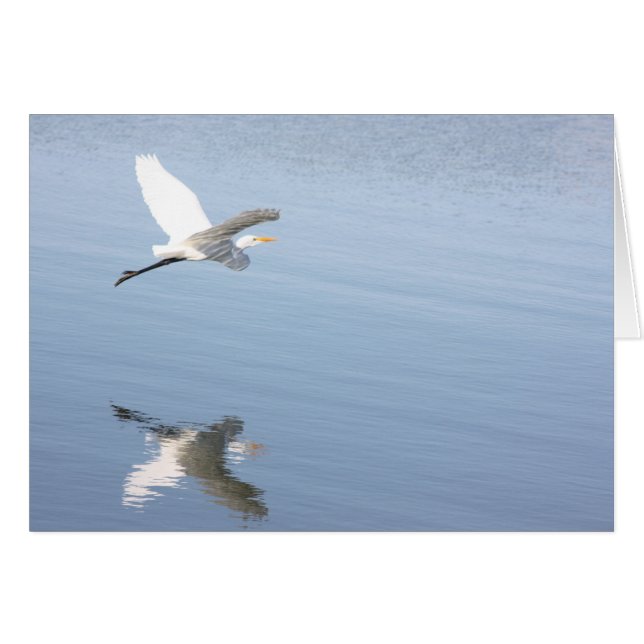 Reflexión (Anverso (Horizontal))