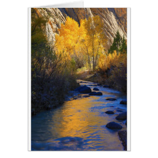 Reflexión de Escalante