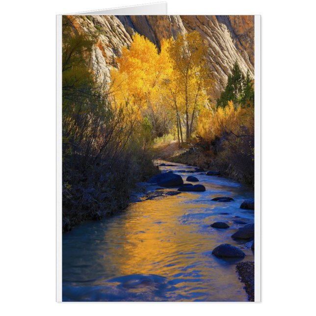 Reflexión de Escalante (Frente)