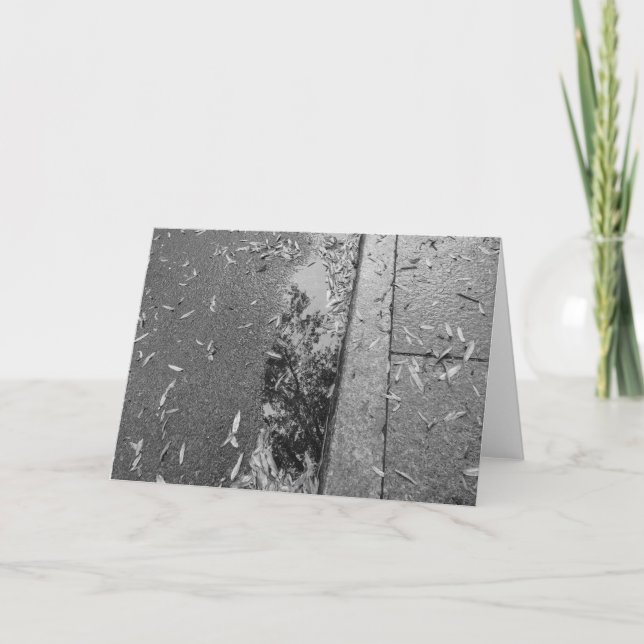 Reflexión/ruido con lluvia, tarjeta (Anverso)