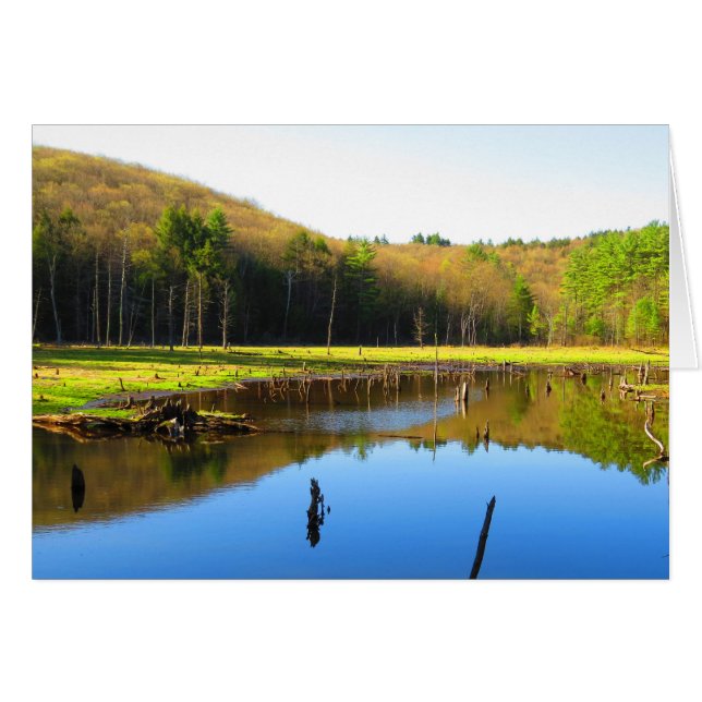 Reflexión sobre el cielo azul (Anverso (Horizontal))