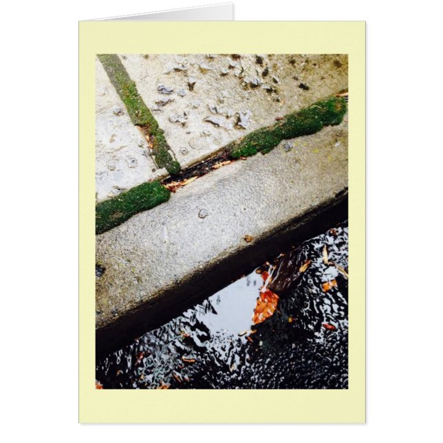 Reflexiones (Frente)