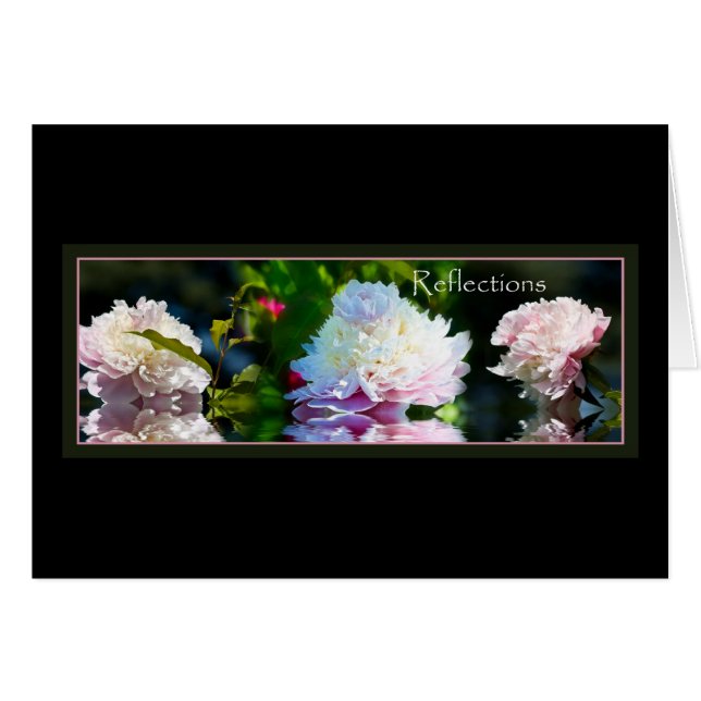 Reflexiones (Anverso (Horizontal))